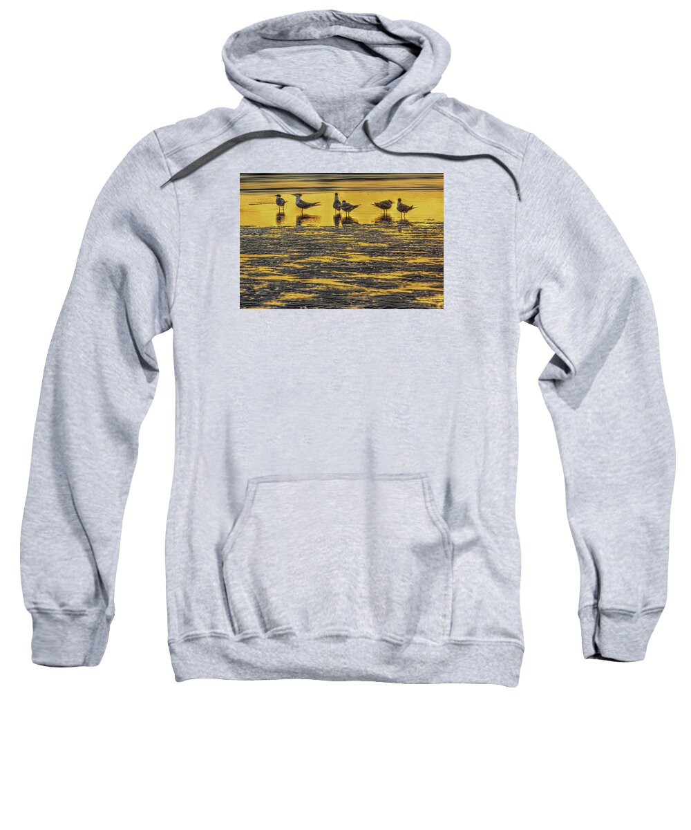 Royal Terns Sweatshirt featuring the photograph Among Friends by Marvin Spates