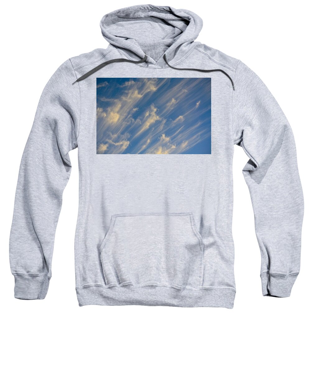 Cloud Sweatshirt featuring the photograph Angels Trumpets by Diana Hatcher