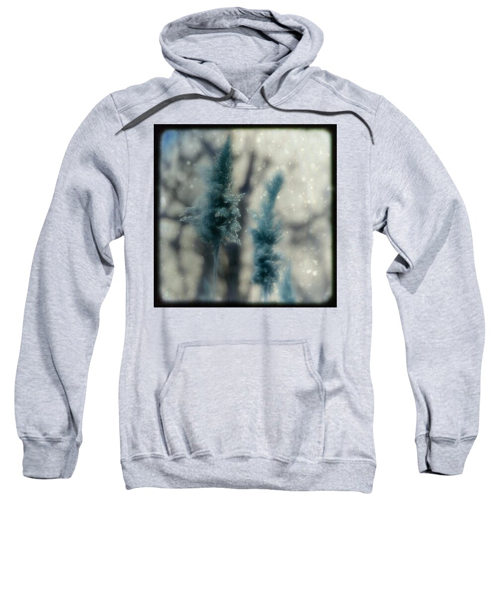 Nature Sweatshirt featuring the photograph Aqua Snow by Gothicrow Images