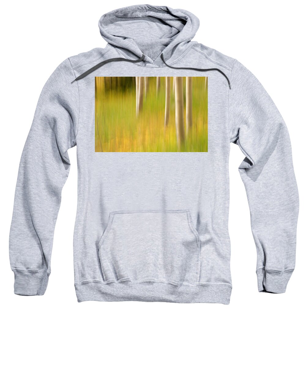 Aspen Sweatshirt featuring the photograph Aspen Abstract by Ronda Kimbrow