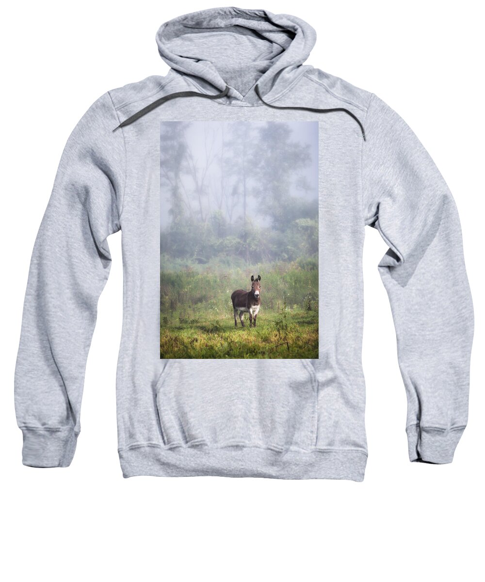 Animals Sweatshirt featuring the photograph August morning - Donkey in the field. by Gary Heller