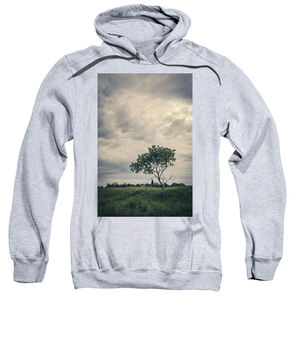 Manitoba Sweatshirt featuring the photograph Baby We All Have Dreams by Sandra Parlow