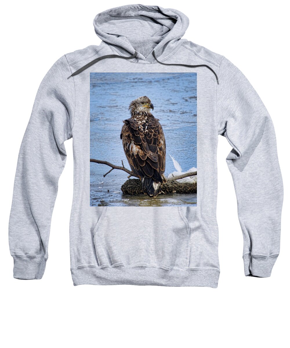 Squaw Creek National Wildlife Refuge Sweatshirt featuring the photograph Bald Eagle by Alan Hutchins