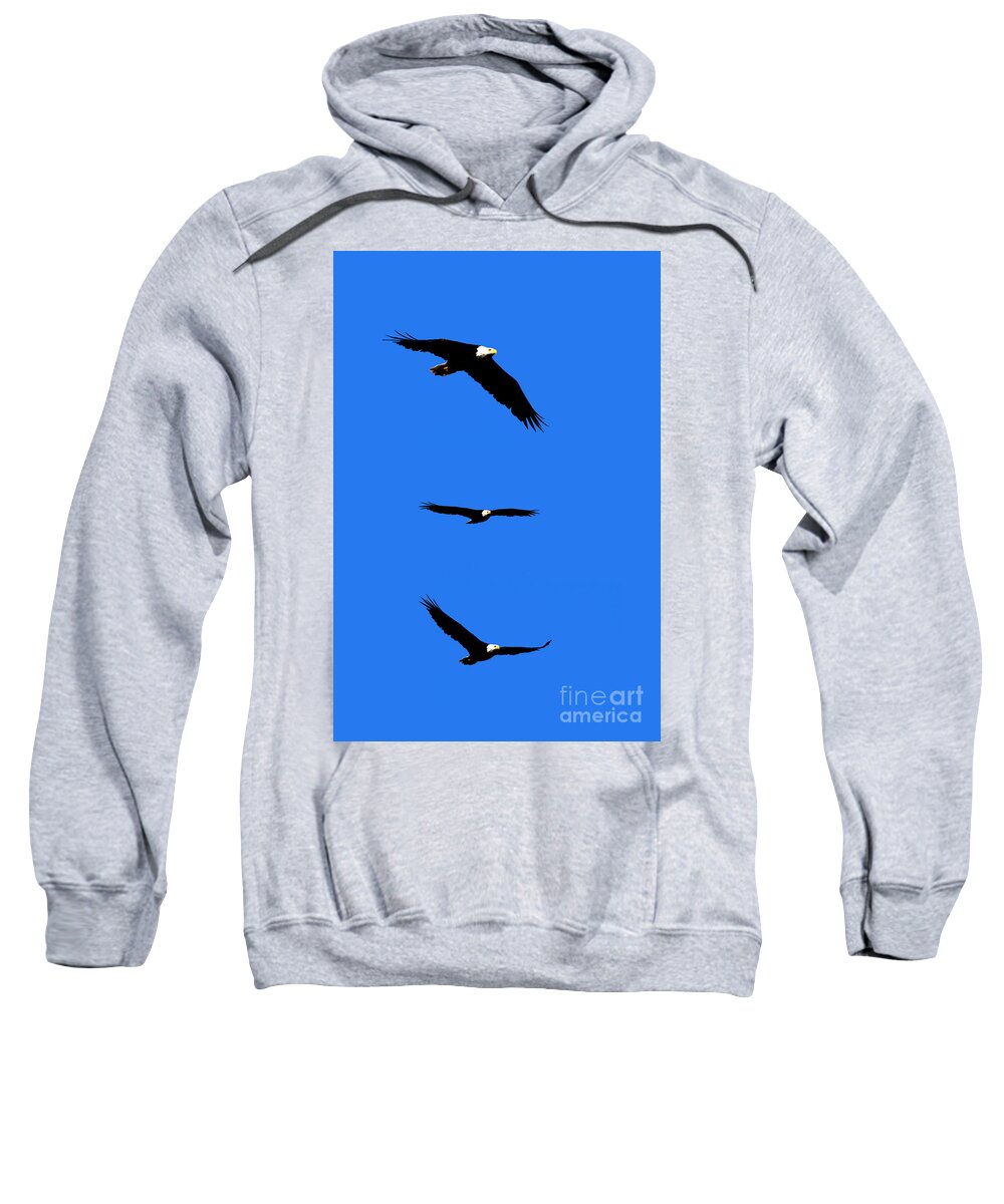 Eagle Sweatshirt featuring the photograph Bald Eagle Triptych by Thomas Marchessault