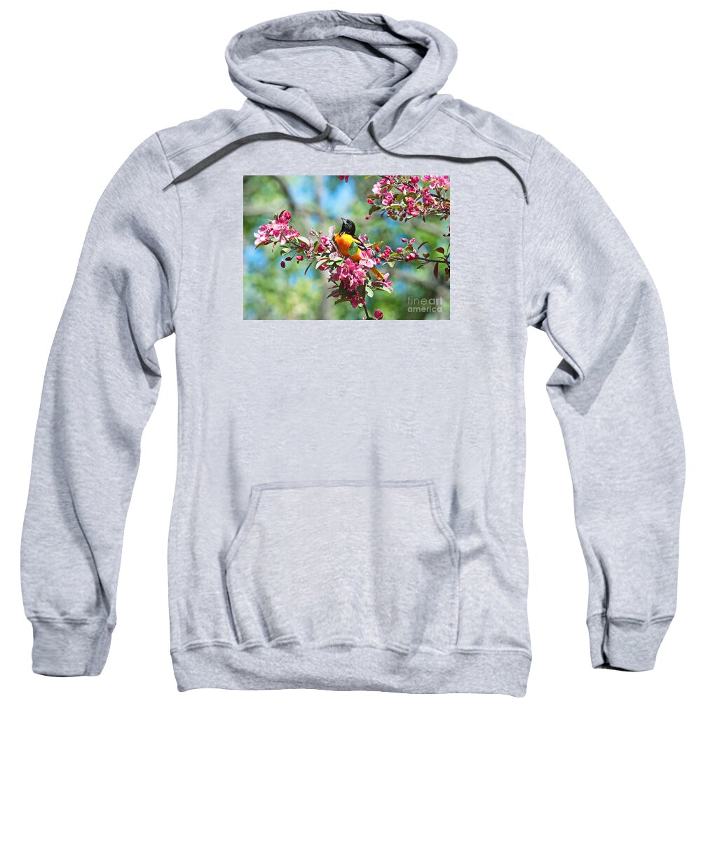 Oriole Sweatshirt featuring the photograph Balitmore Oriole and Apple Blossoms by Andrea Kollo