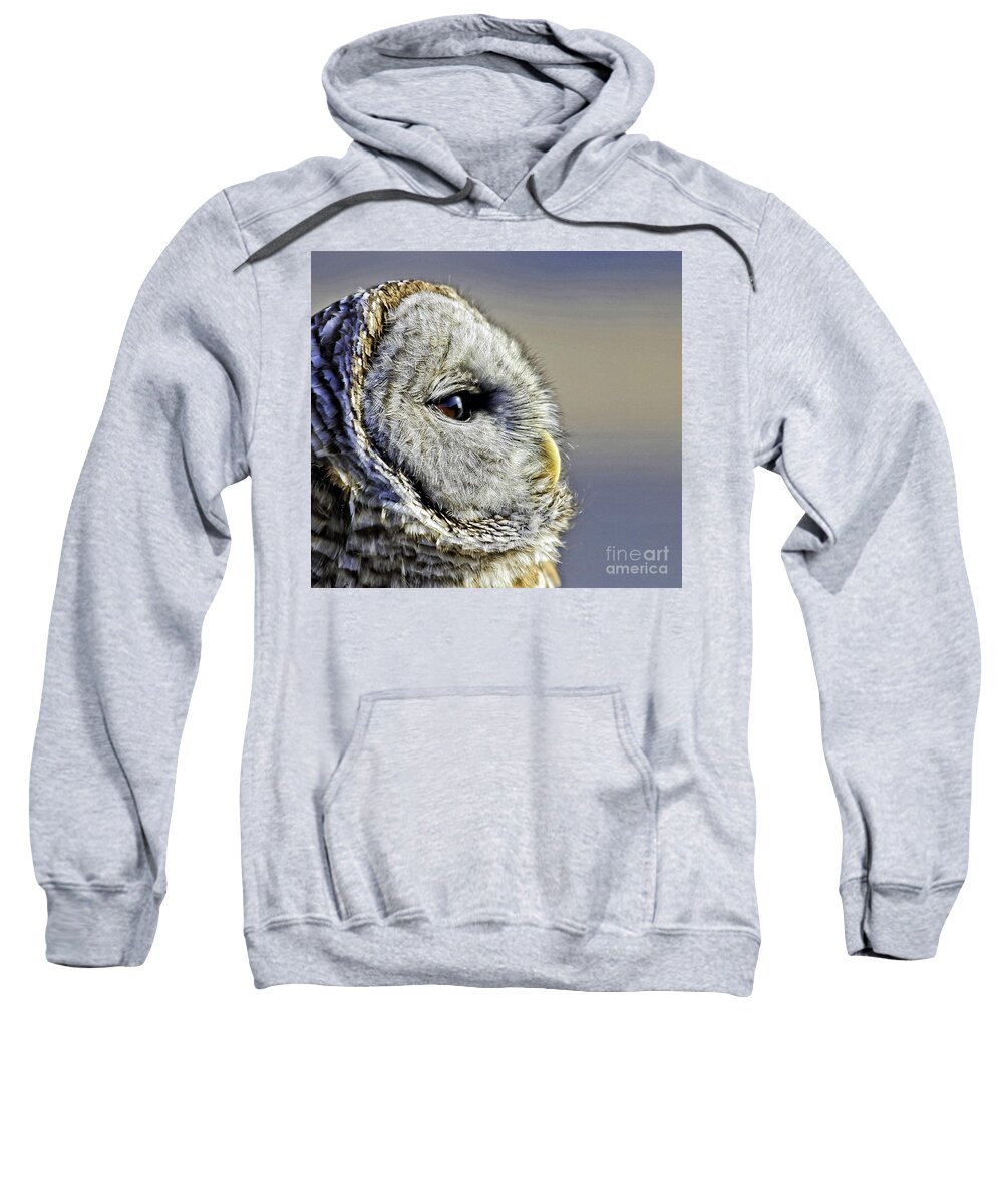 Barred Owl Sweatshirt featuring the photograph Barred None by Jan Killian