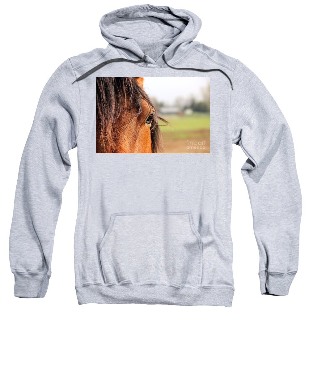 Horse Sweatshirt featuring the photograph Beautiful Eye by Janice Byer