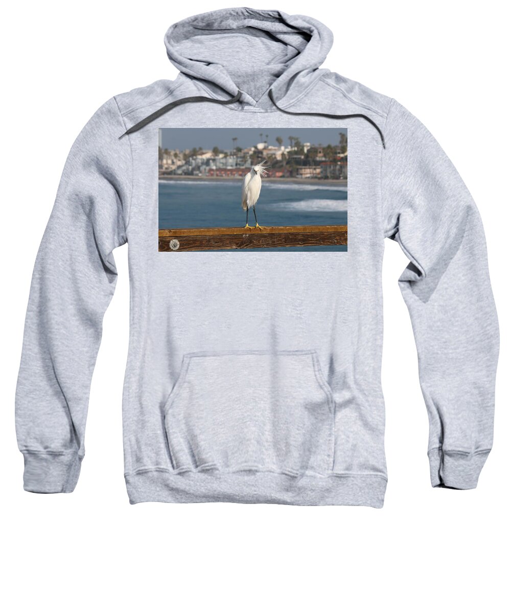 Snowy Sweatshirt featuring the photograph Bed Head by Christy Pooschke