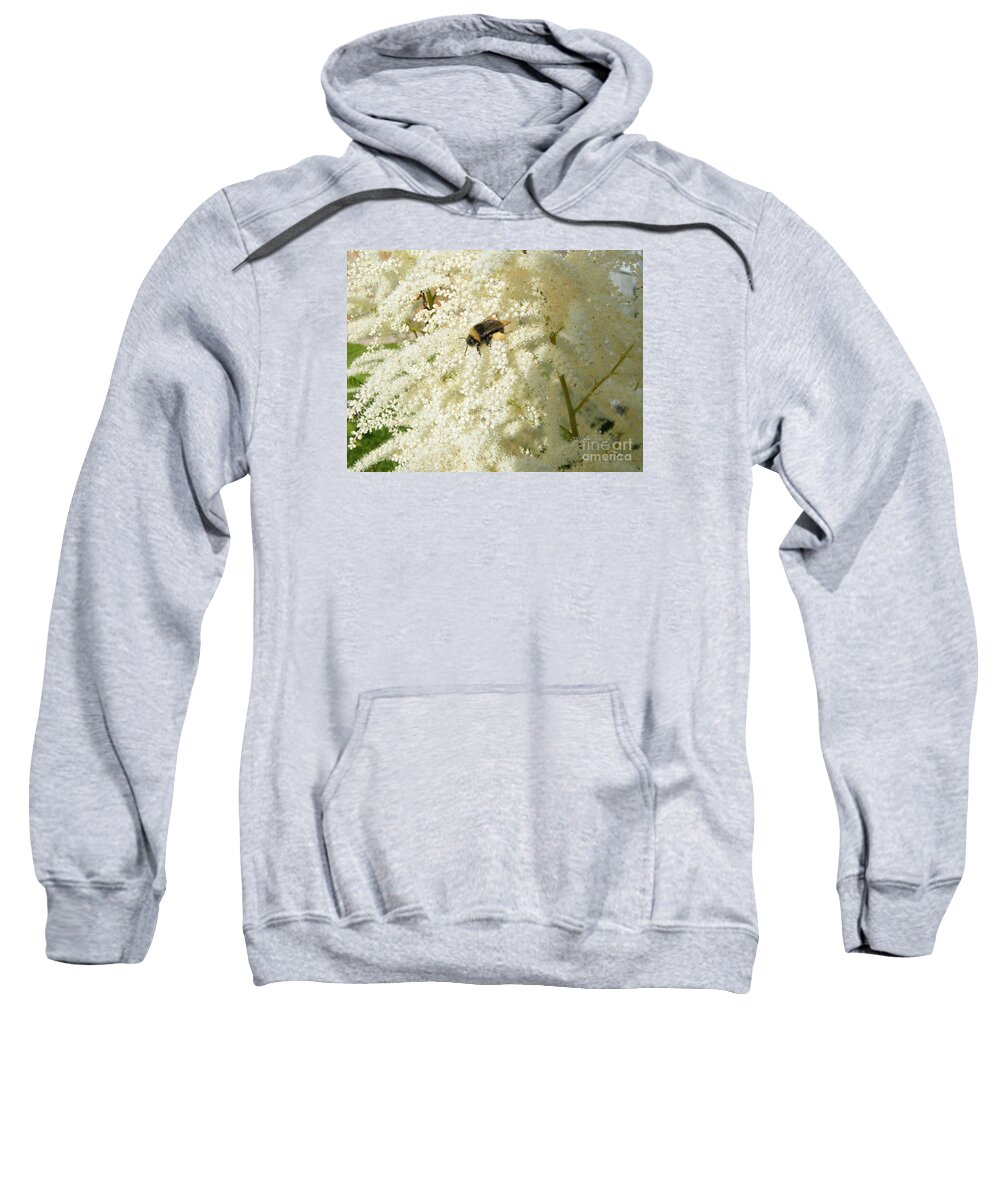 Bumble Bee Sweatshirt featuring the photograph Bee Gathering Pollen by Ann E Robson