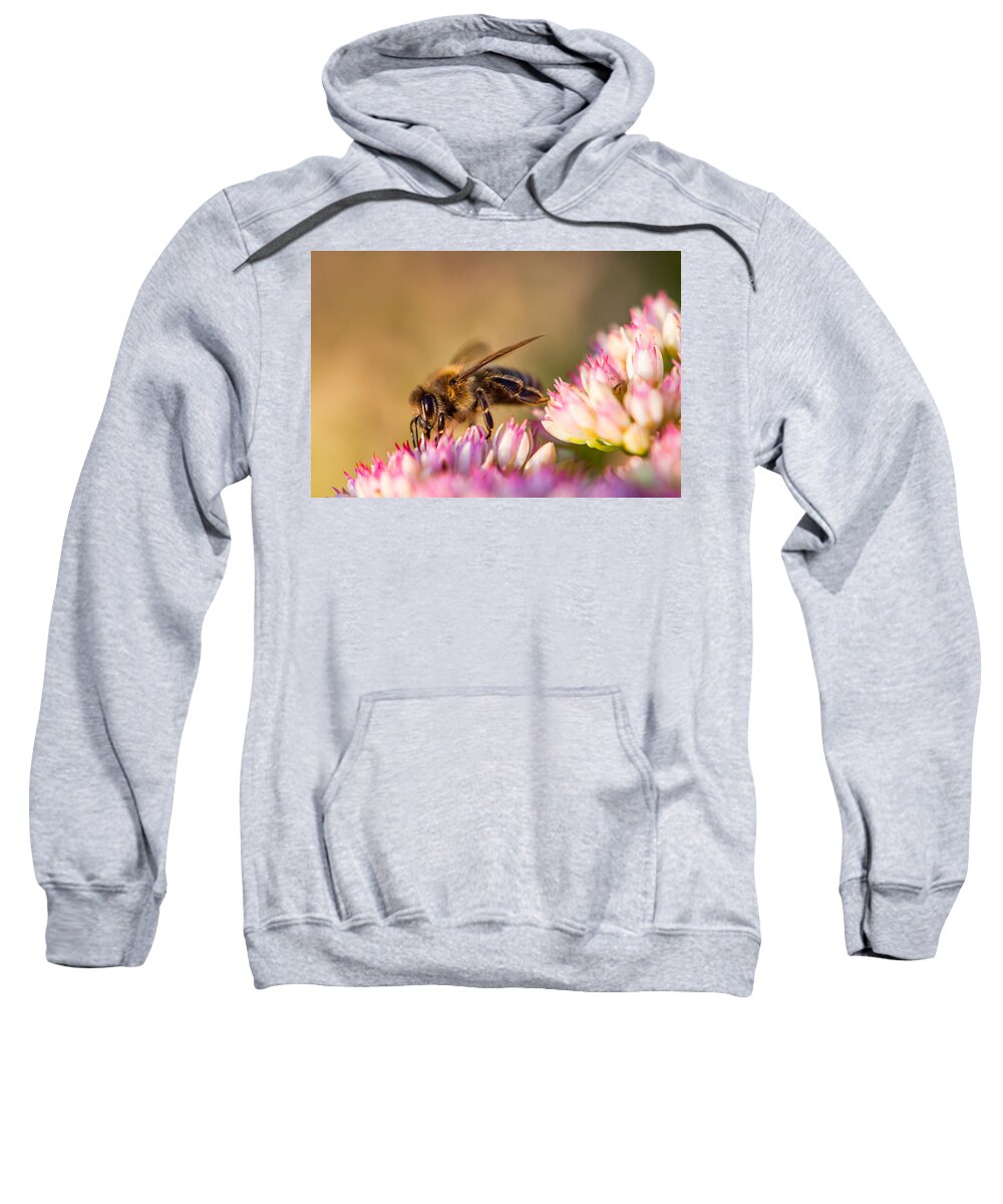 Animal Sweatshirt featuring the photograph Bee Sitting on Flower by John Wadleigh