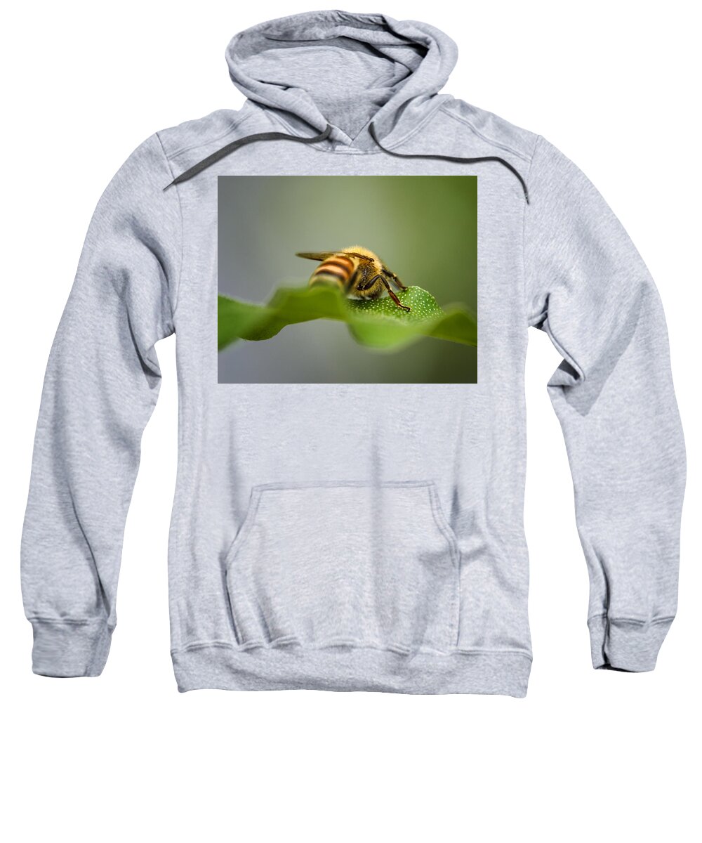 Bee Sweatshirt featuring the photograph Bee Still by Sue Capuano