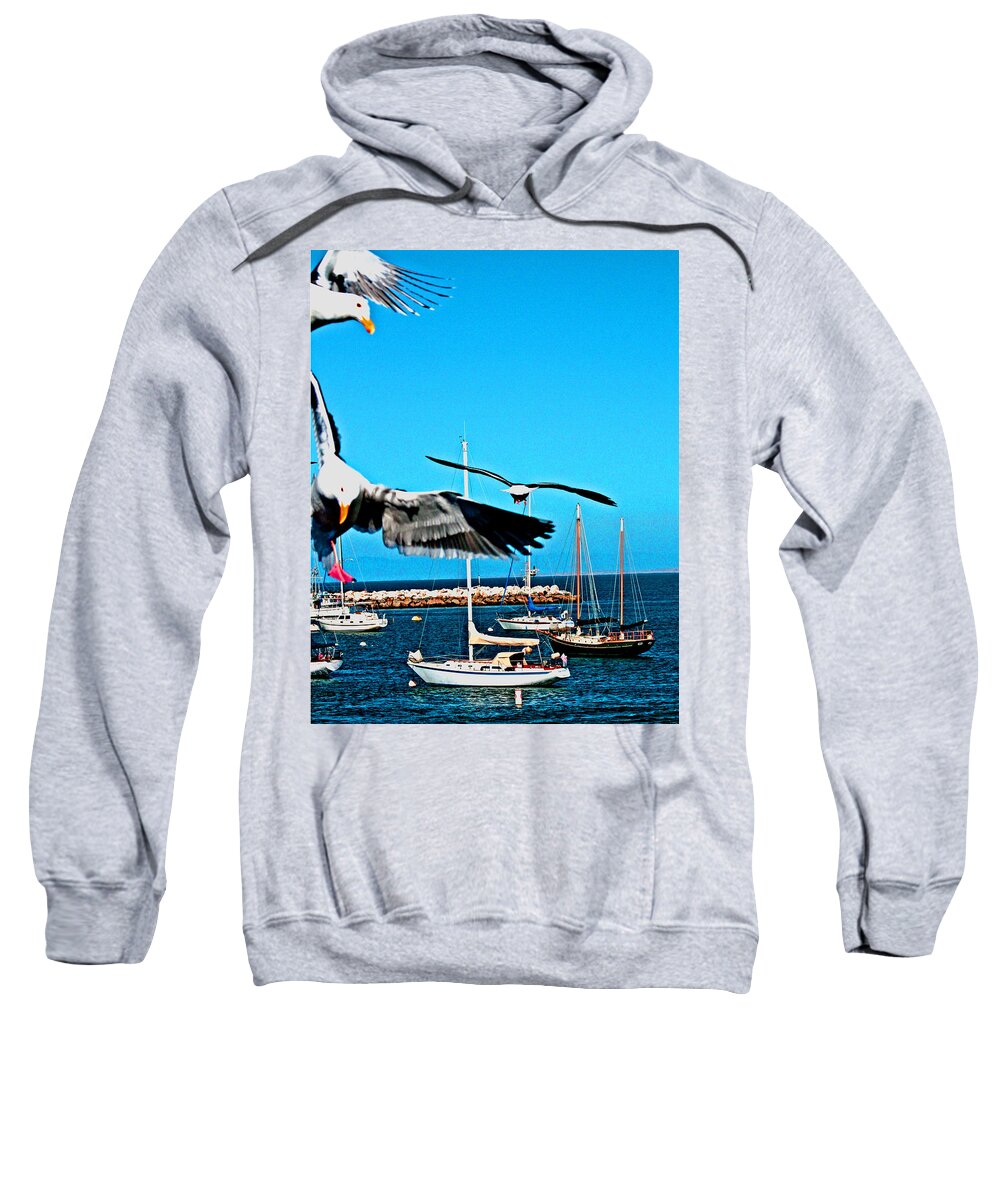 Ocean Birds Sweatshirt featuring the digital art Birds In Paradise by Joseph Coulombe