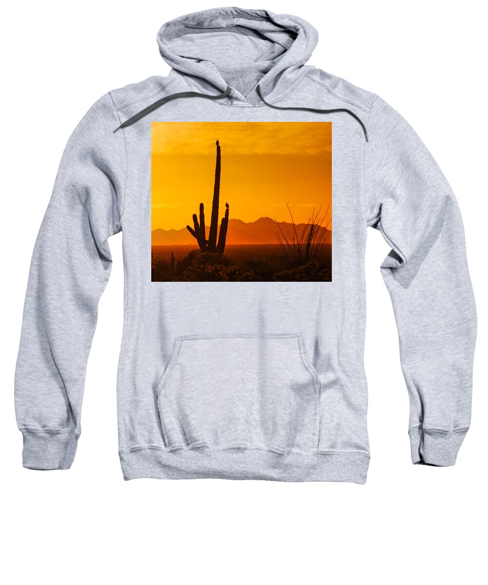 Pennysprints Sweatshirt featuring the photograph Birds in Silhouette by Penny Lisowski