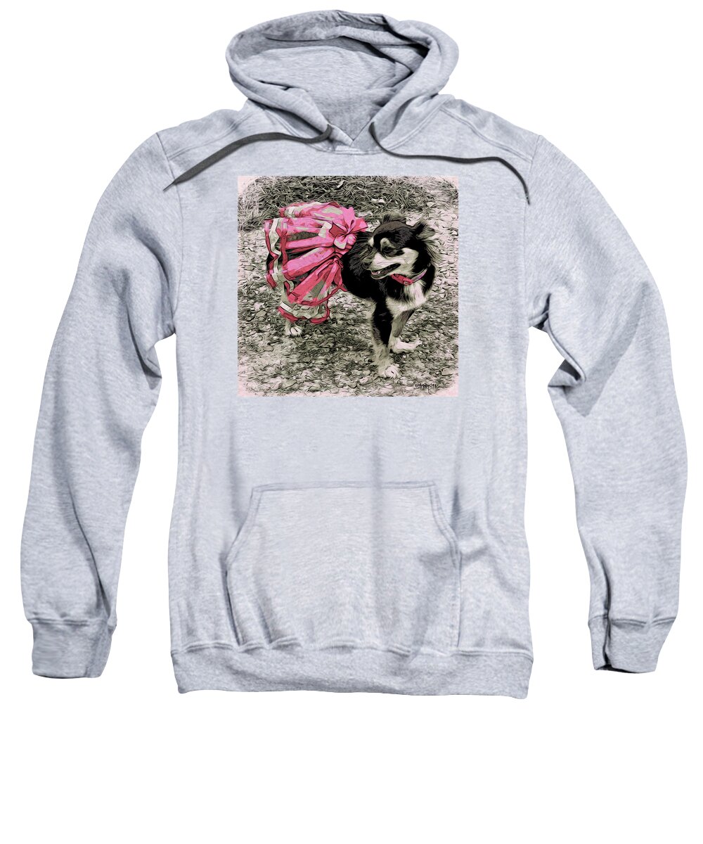 Long Hair Chihuahua Sweatshirt featuring the photograph Black and Tan Chihuahua - Little Pink TuTu by Rebecca Korpita