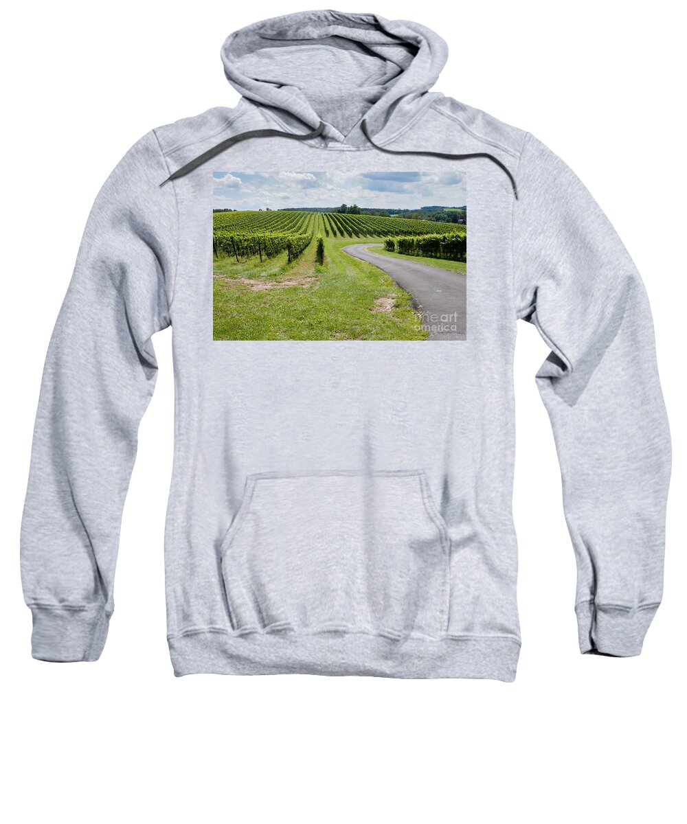 Landscape Sweatshirt featuring the photograph Maryland Vinyard in August by Thomas Marchessault