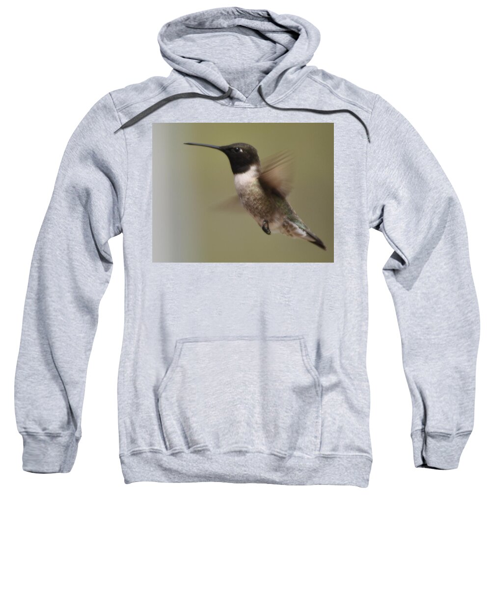 Black-chinned Sweatshirt featuring the photograph Black-chinned Hummingbird by Frank Madia