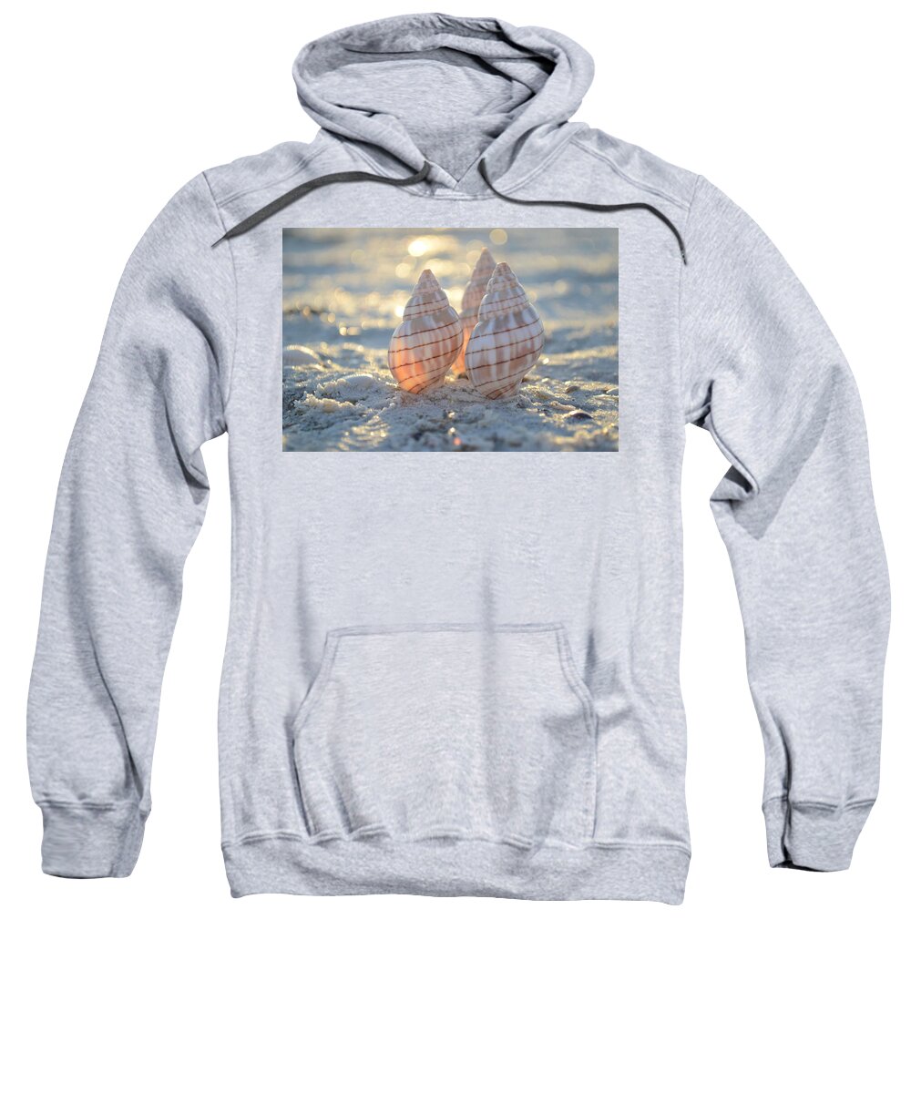 Seashell Sweatshirt featuring the photograph Blissful by Melanie Moraga