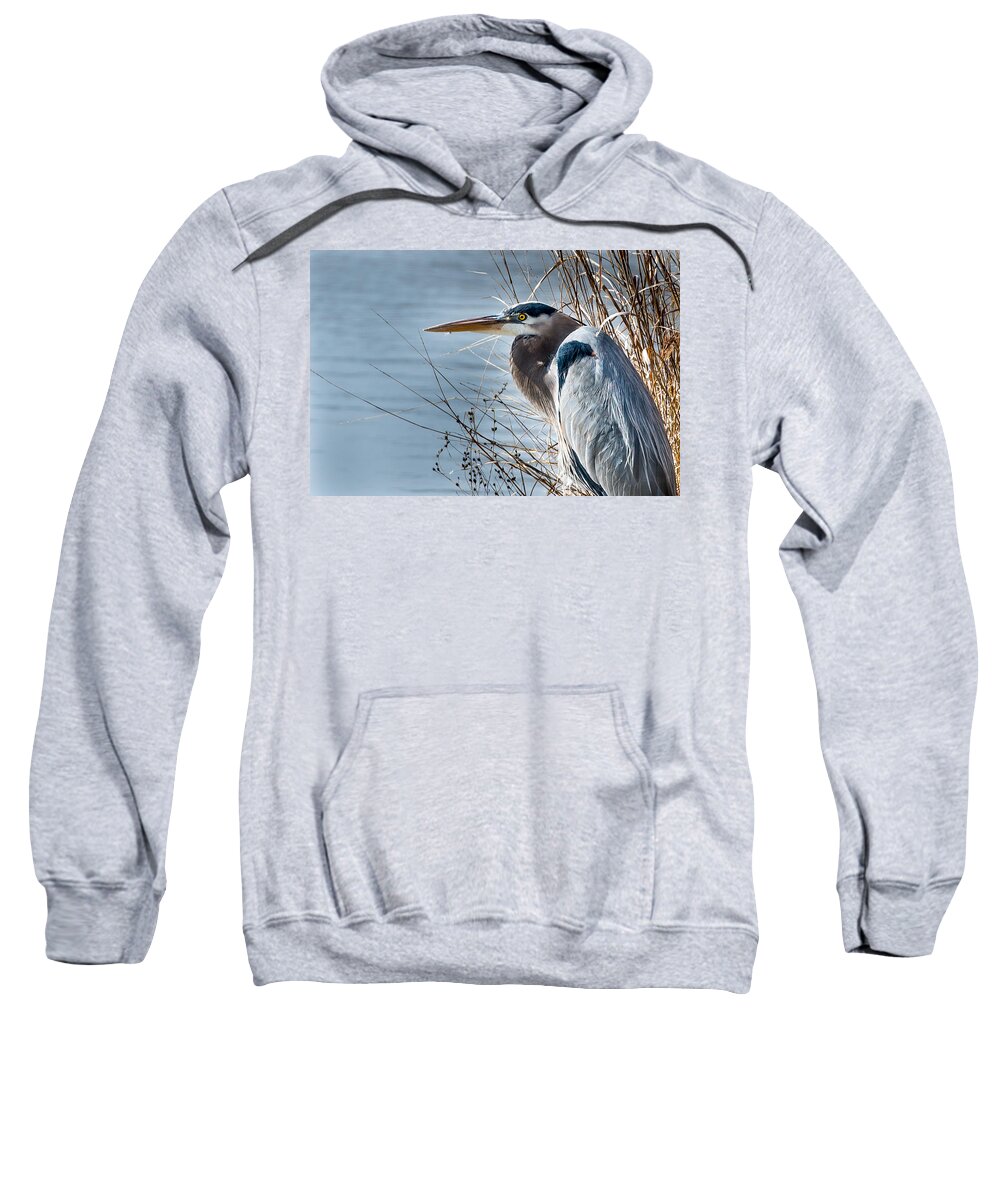 Blue Heron Sweatshirt featuring the photograph Blue Heron at pond by John Johnson
