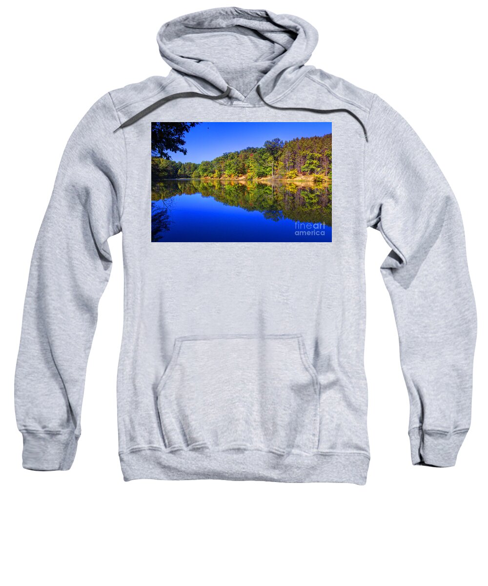 Trees Sweatshirt featuring the photograph Bobber in the sky by Alan Look