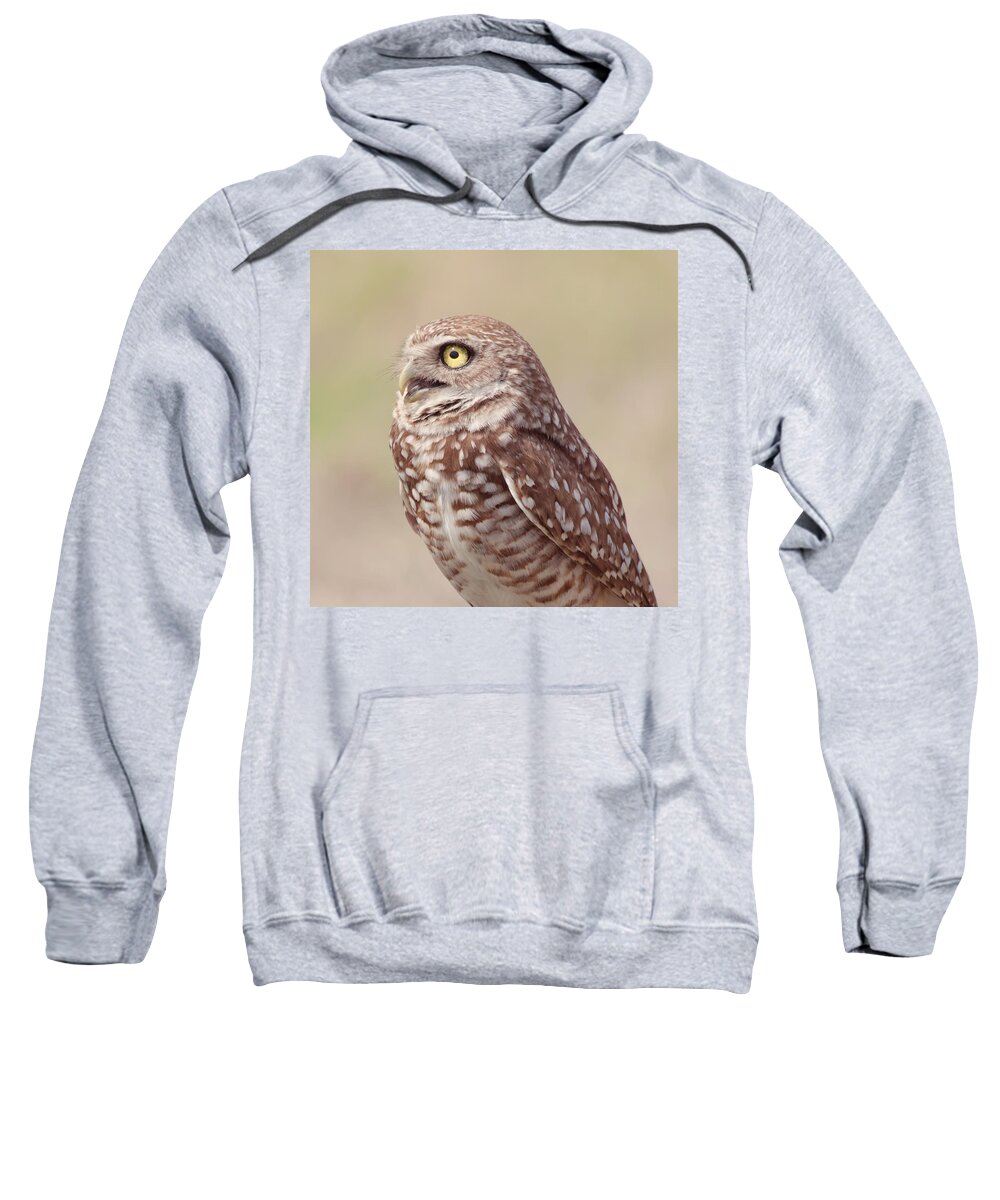 Wildlife Sweatshirt featuring the photograph Burrowing Owl by Kim Hojnacki