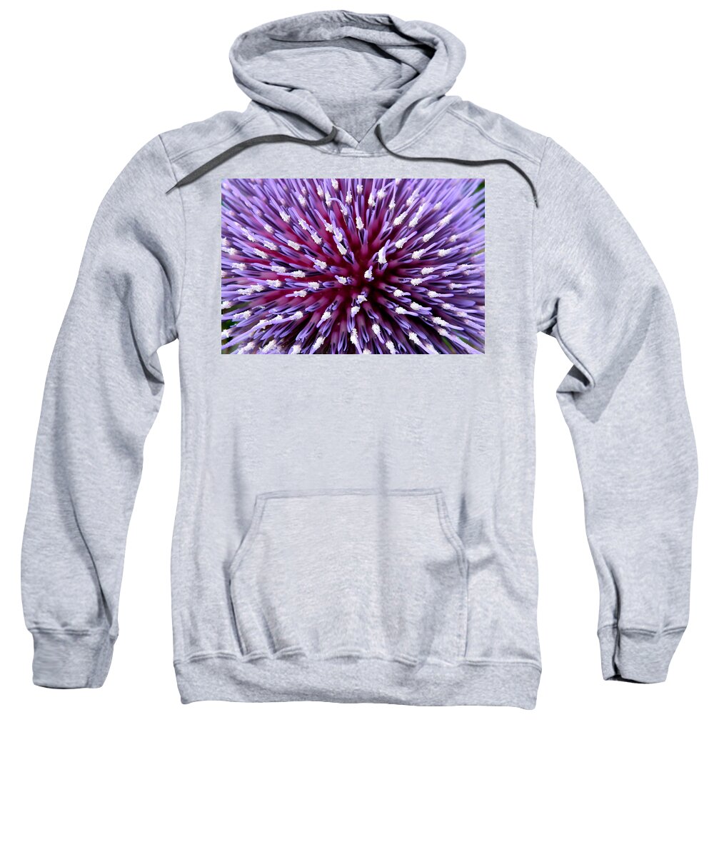 Cardoon Sweatshirt featuring the photograph Bursting with colour by Vanessa Thomas