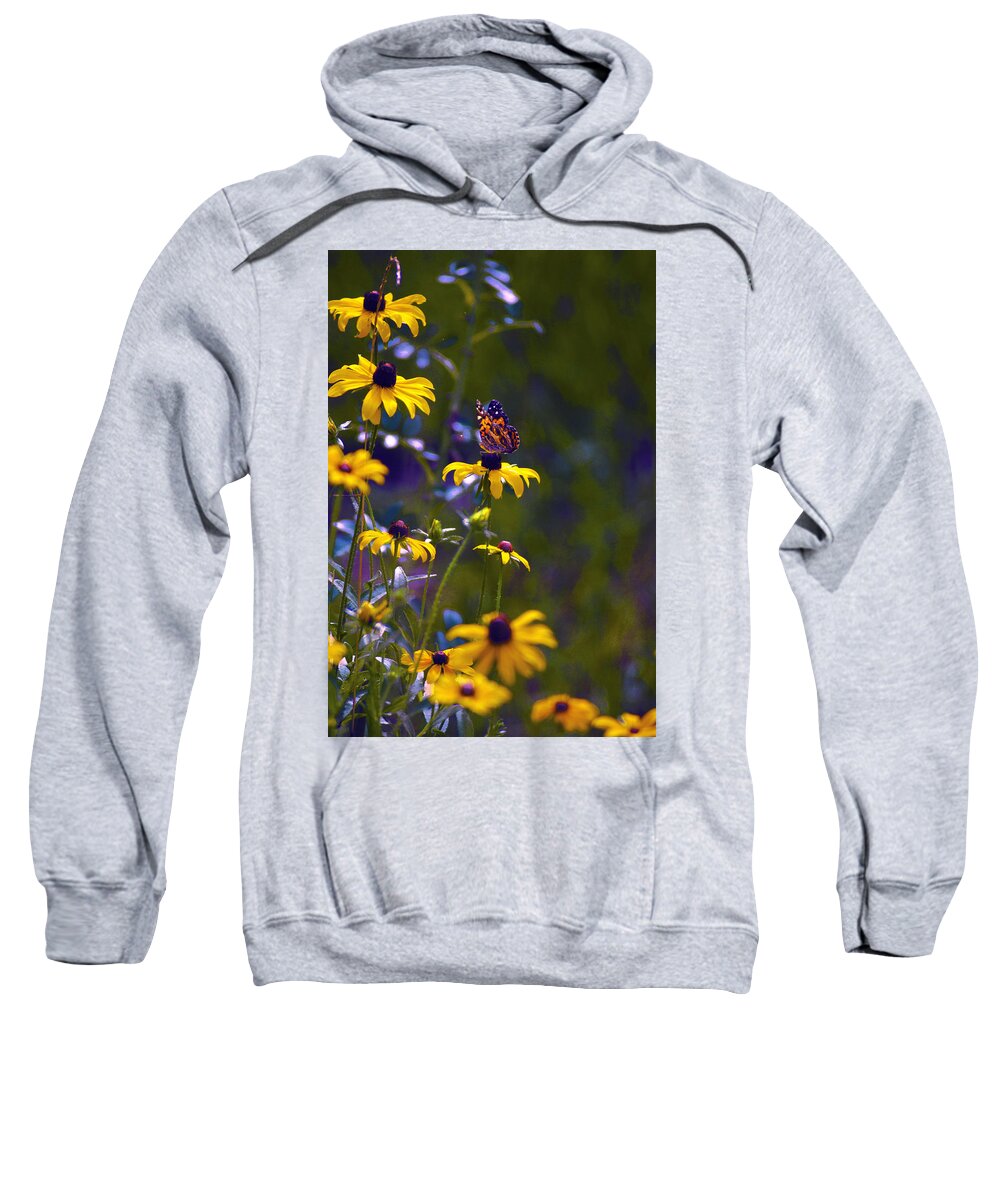 Wildflowers And Butterflies Sweatshirt featuring the digital art Butterfly On Black Eyed Susans by Pamela Smale Williams