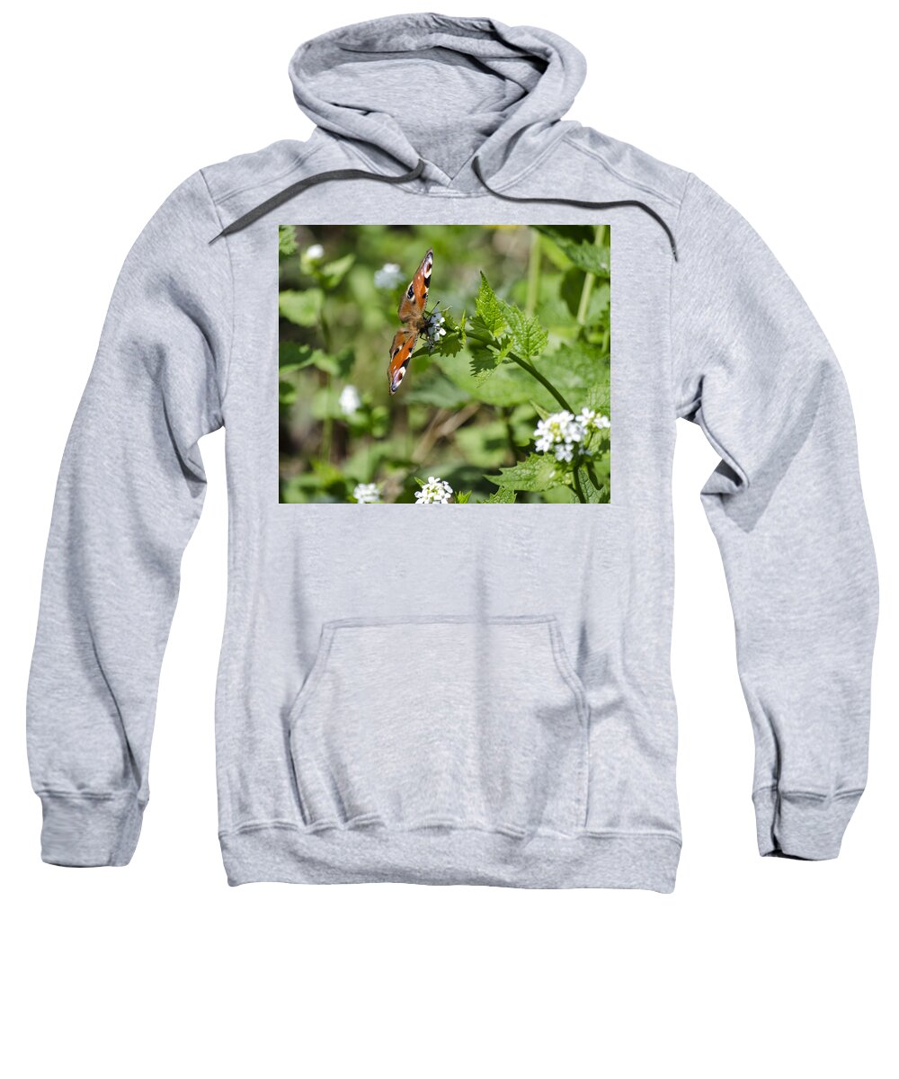 Butterfly Sweatshirt featuring the photograph Butterfly by Spikey Mouse Photography