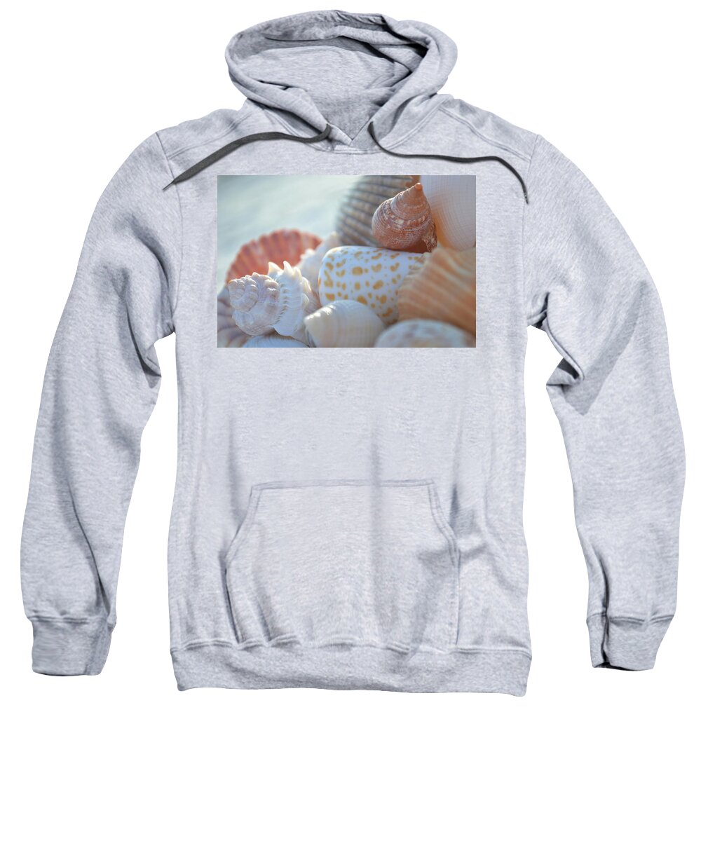 Seashells Sweatshirt featuring the photograph By The Seashore by Melanie Moraga