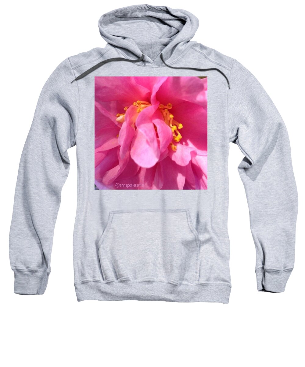 Global_nature_pinks Sweatshirt featuring the photograph Camellia Petals #noedit #nofilter by Anna Porter