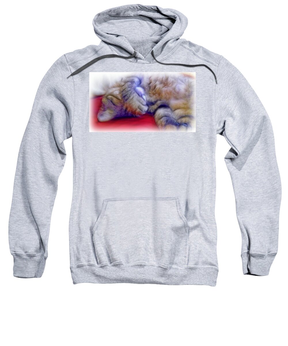 Cat Sweatshirt featuring the photograph Camera Shy Kitty by Lilia S