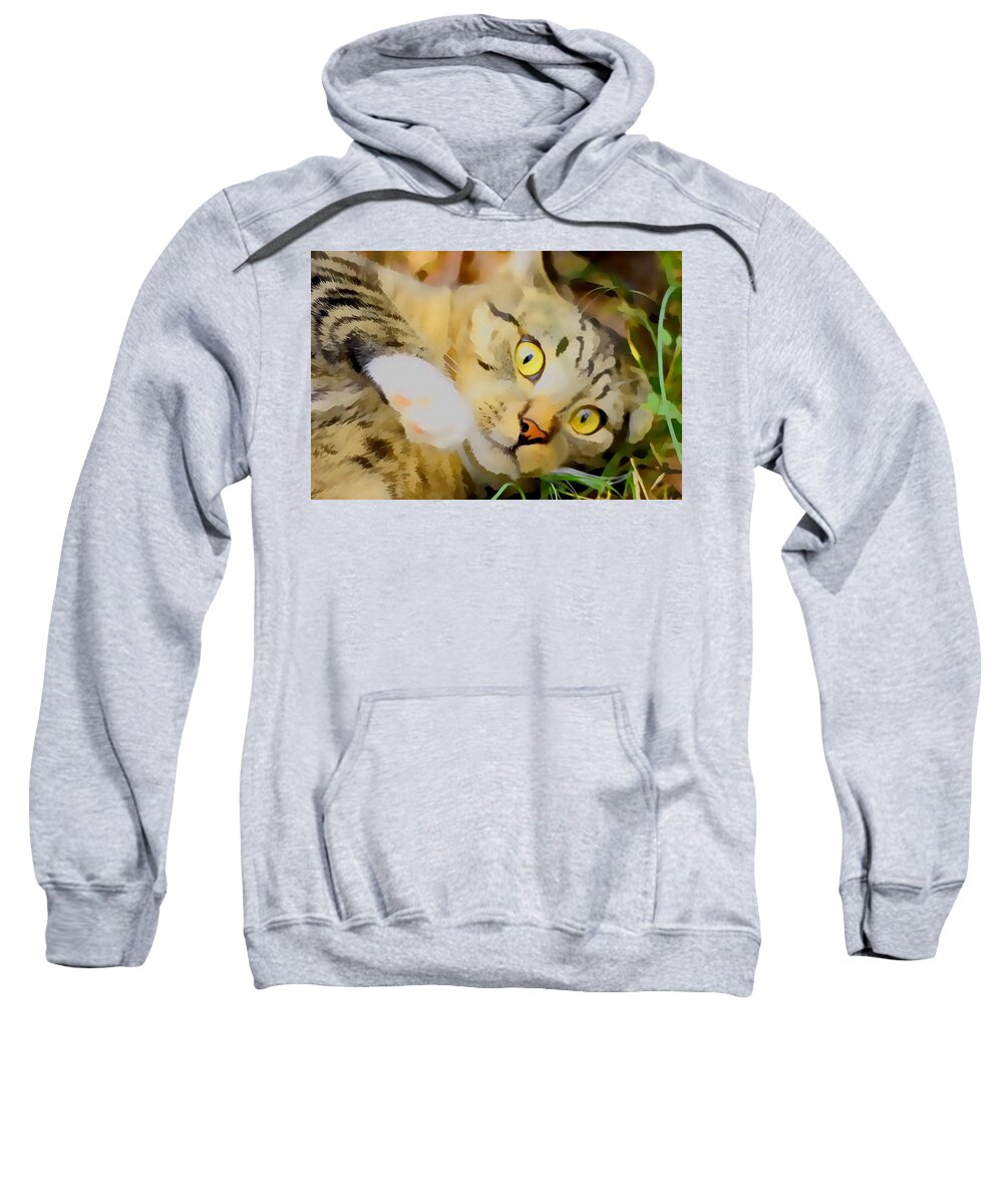 Landscape Sweatshirt featuring the photograph Cat Play in Paint by Morgan Carter