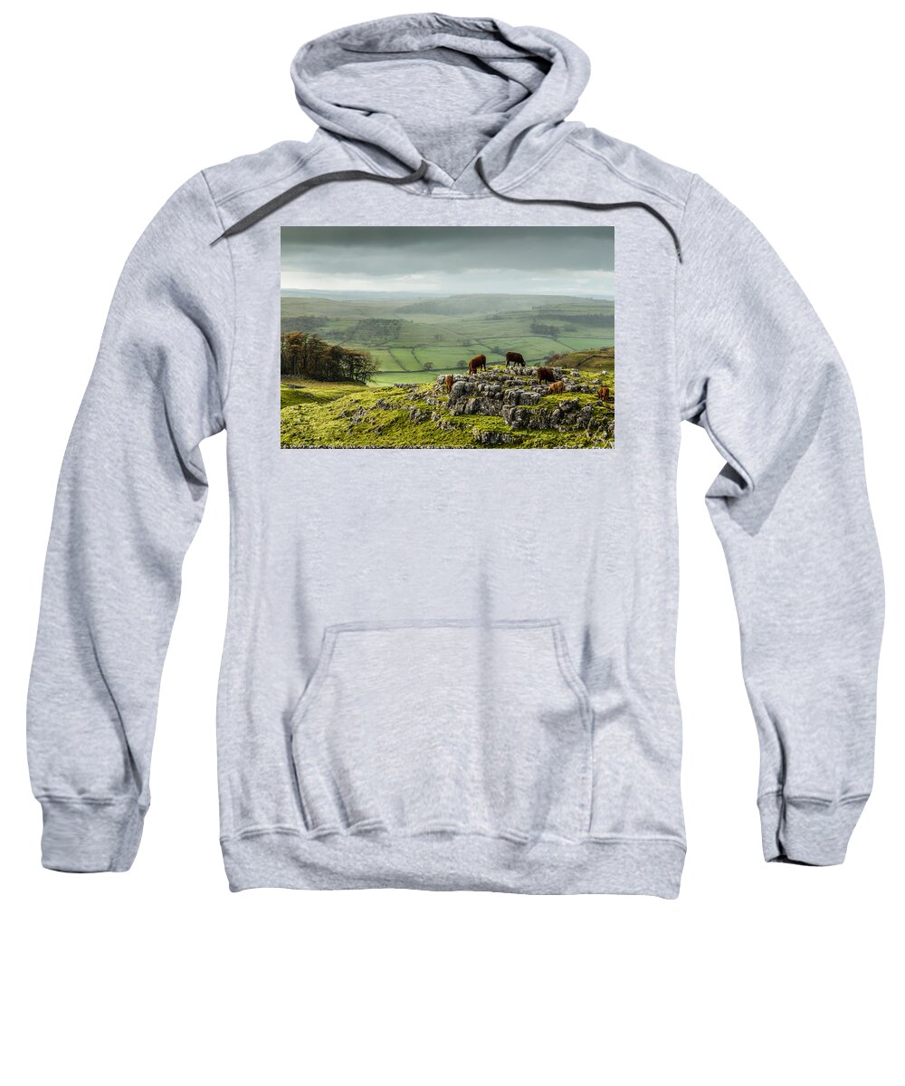 Animals Sweatshirt featuring the photograph Cattle in the Yorkshire Dales by Sue Leonard