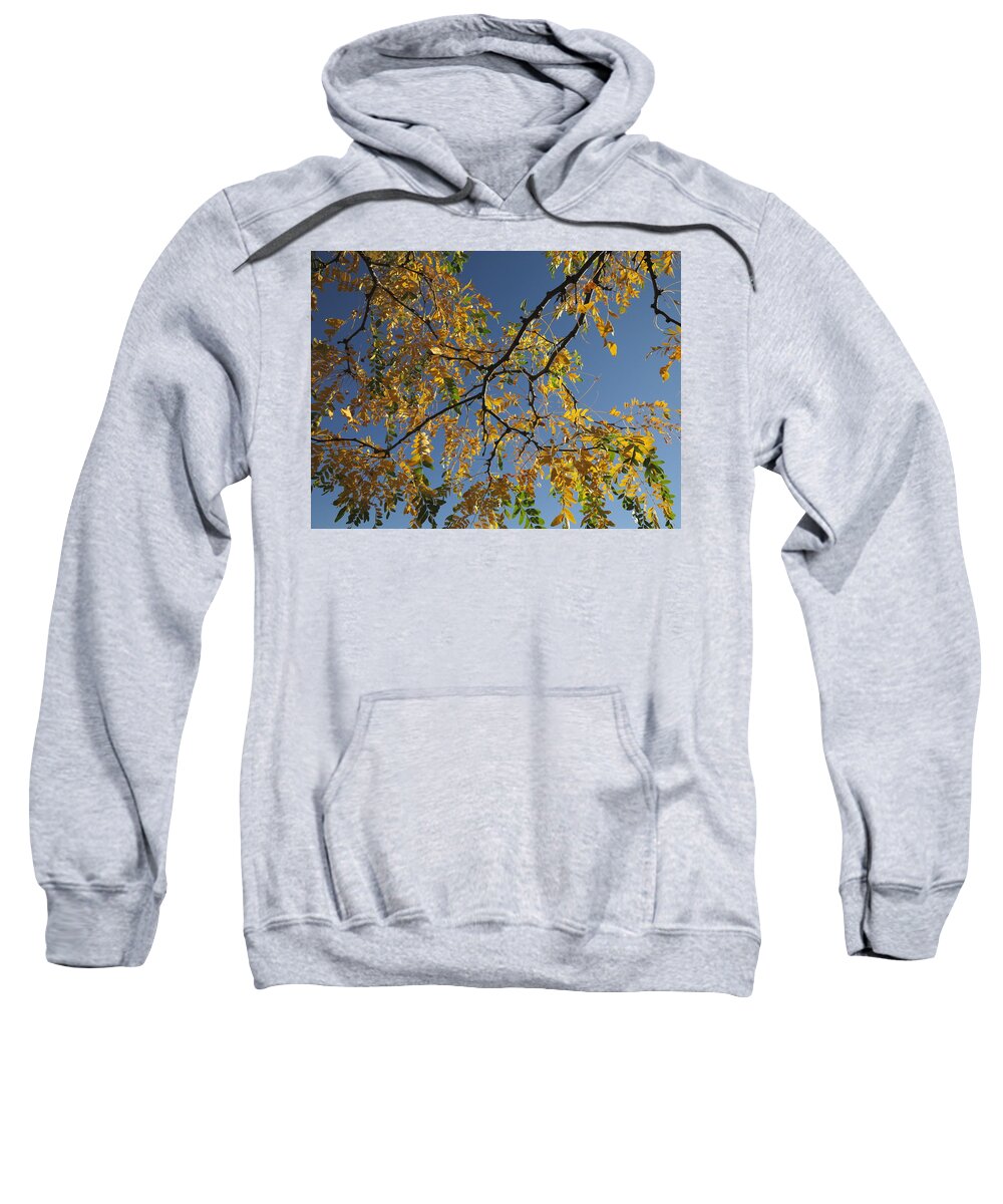Autumn Sweatshirt featuring the photograph Changing by Jessica Myscofski