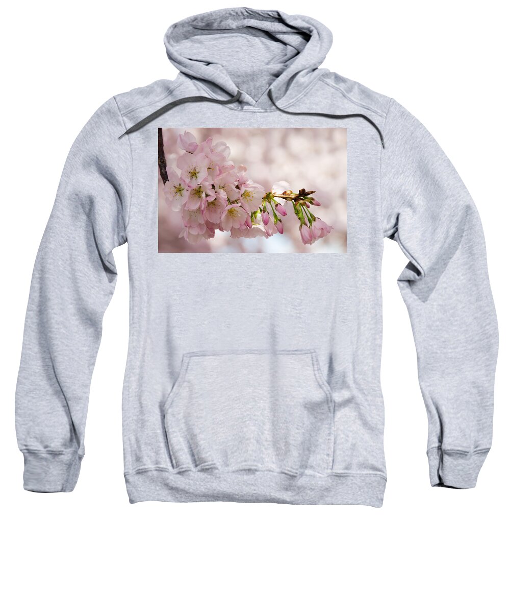 Dc Cherry Blossom Festival Sweatshirt featuring the photograph Cherry Blossoms No. 9164 by Georgette Grossman