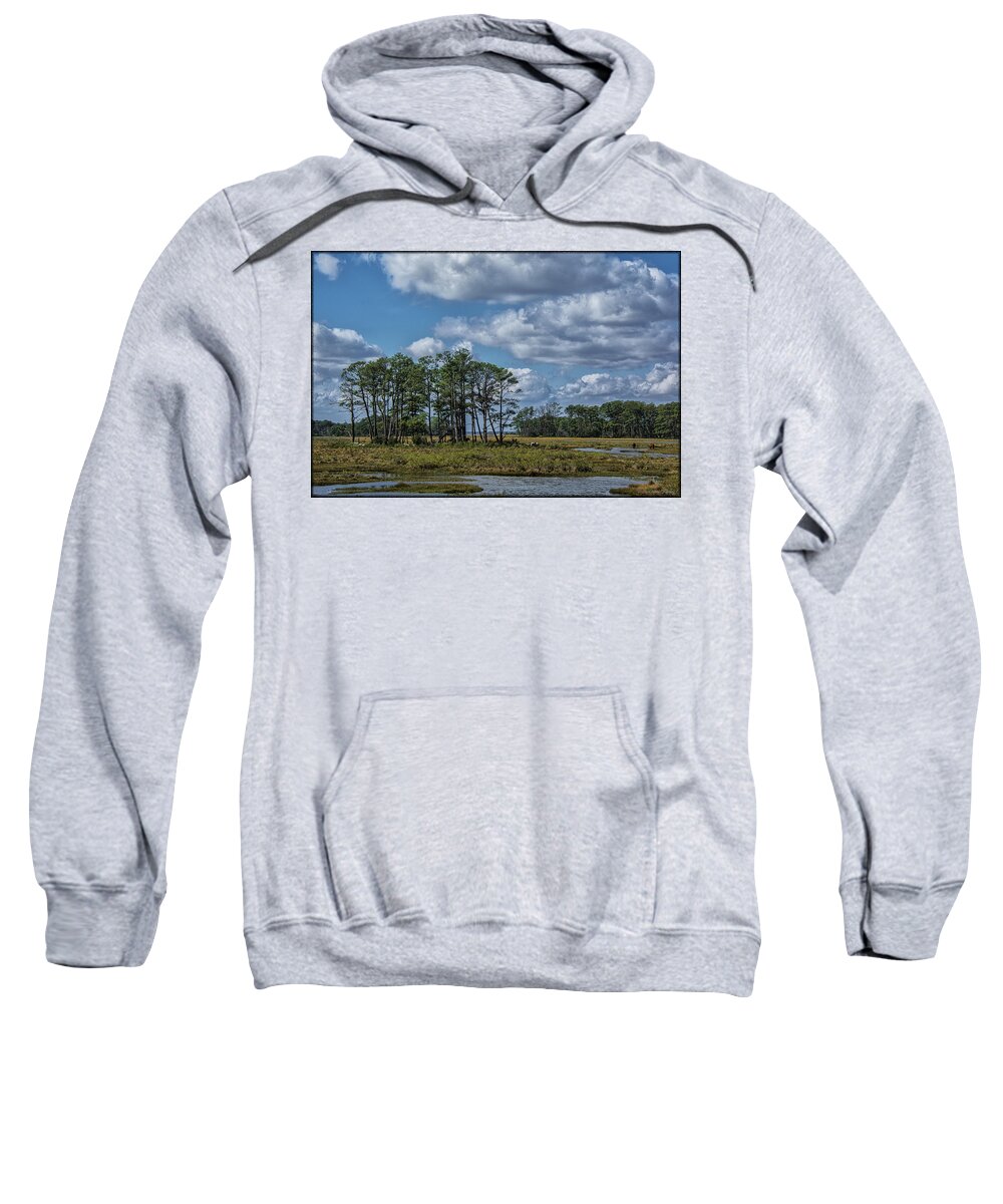 Ponies Sweatshirt featuring the photograph Chincoteague Ponies by Erika Fawcett
