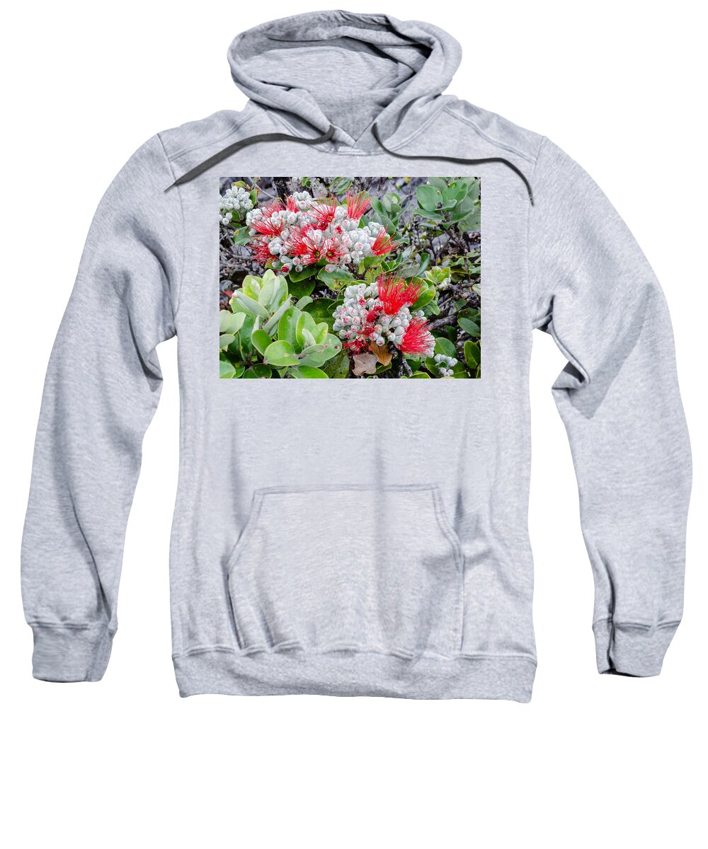 Red-green-white Sweatshirt featuring the photograph Christmas Berries by Georgette Grossman