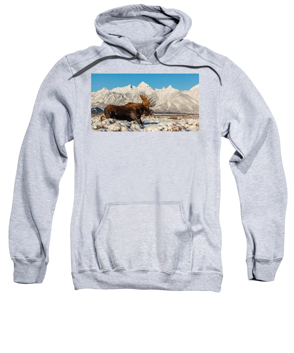 Moose Sweatshirt featuring the photograph Clearing Sky by Kevin Dietrich