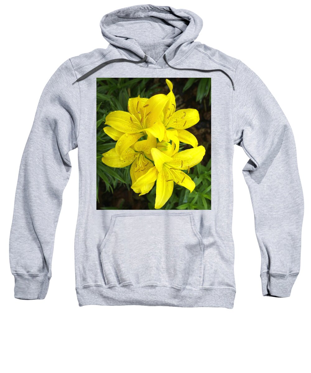 Nature Sweatshirt featuring the photograph Cluster of Yellow Lilly Flowers in the Garden by Amy McDaniel
