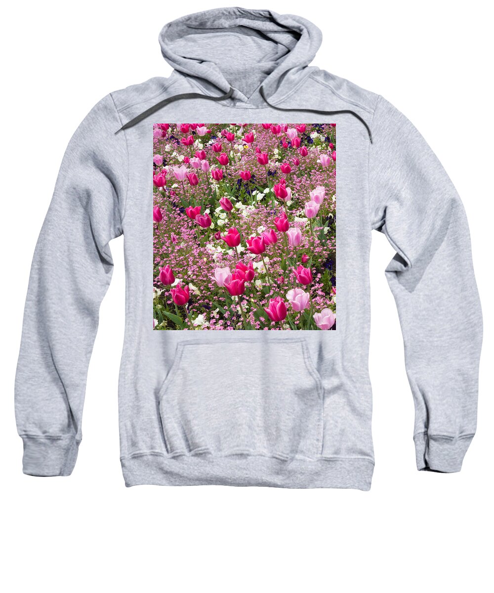 Flowers Sweatshirt featuring the photograph Colorful pink tulips and other flowers in spring by Matthias Hauser