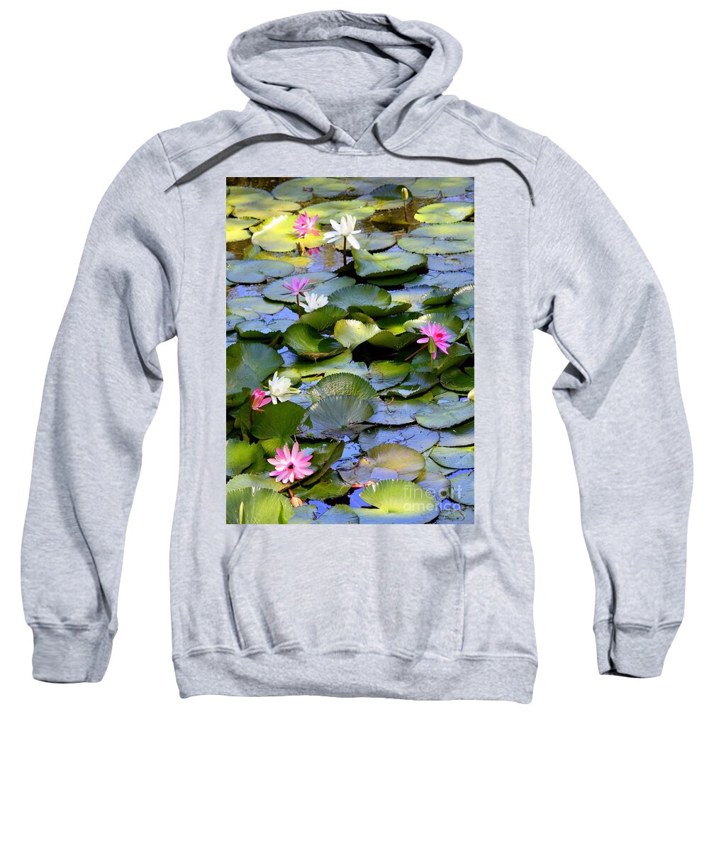 Water Lilies Sweatshirt featuring the photograph Colorful Water Lily Pond by Carol Groenen