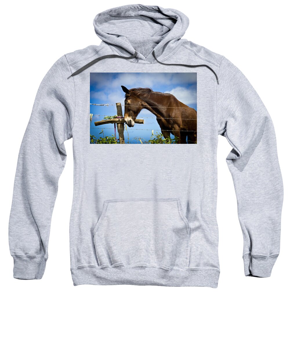 Horse Sweatshirt featuring the photograph Contemplation by Christie Kowalski