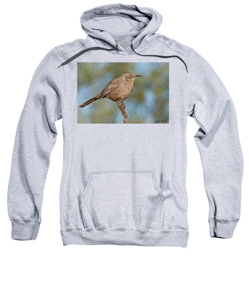 Animal Sweatshirt featuring the photograph Curve-Billed Thrasher by Jeff Goulden