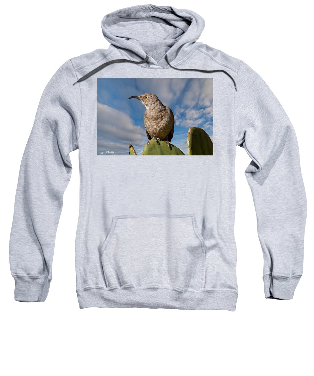 Animal Sweatshirt featuring the photograph Curve-Billed Thrasher on a Prickly Pear Cactus by Jeff Goulden