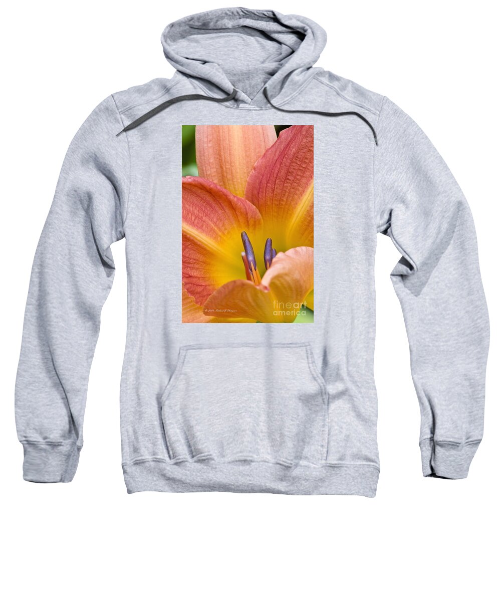 Day Lily Sweatshirt featuring the photograph Day Lily 3 by Richard J Thompson 