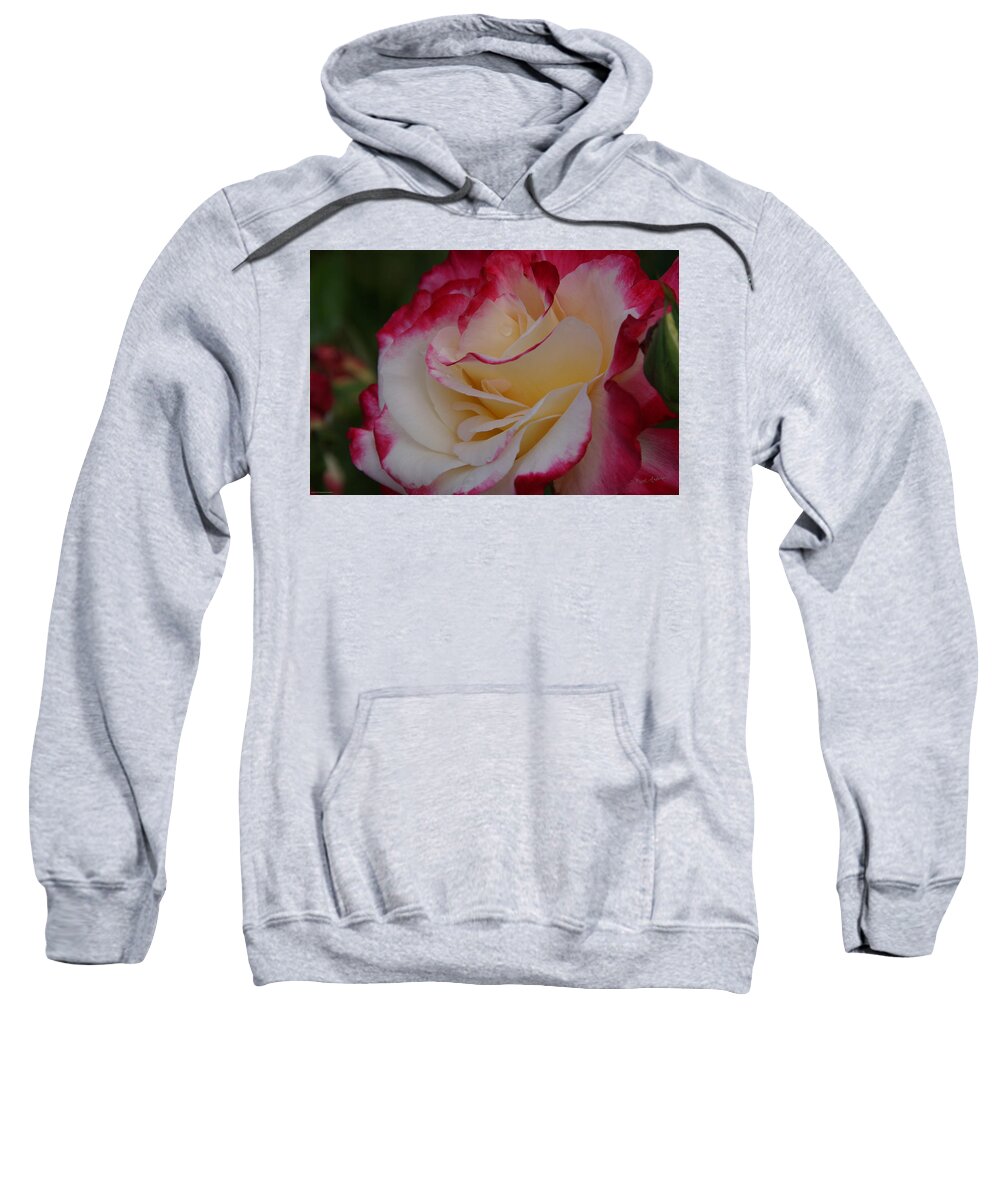 Rose Sweatshirt featuring the photograph Delight to the Eyes by Mick Anderson