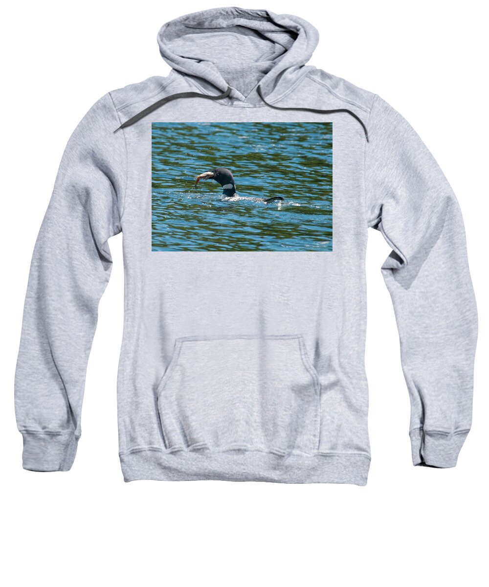 Birds Sweatshirt featuring the photograph Dinner Time by Brenda Jacobs
