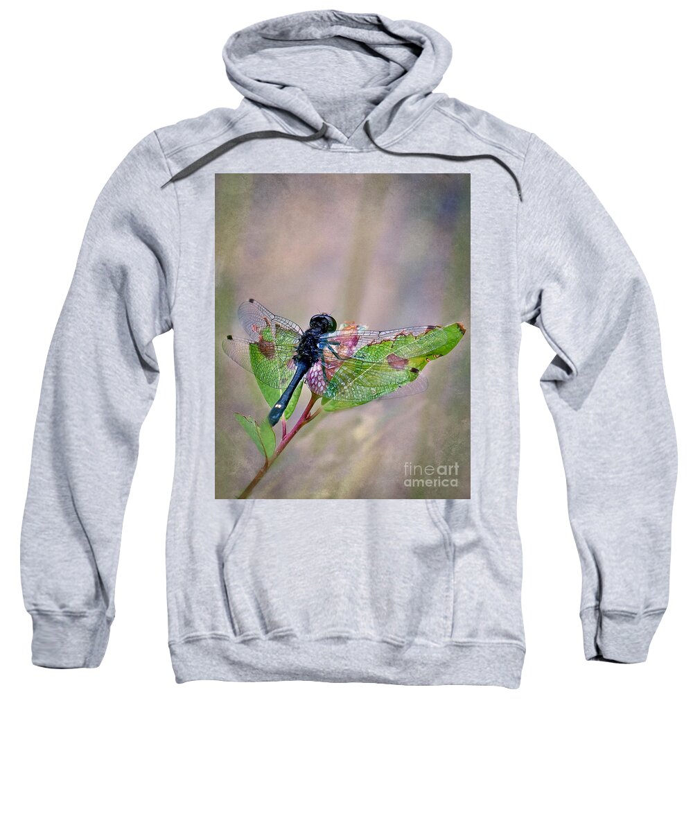 Dragonfly Sweatshirt featuring the photograph Dragonfly by Gwen Gibson