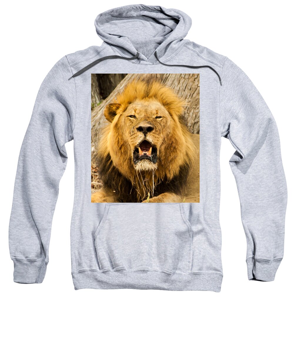 Africa Sweatshirt featuring the photograph Dribble king by Alistair Lyne