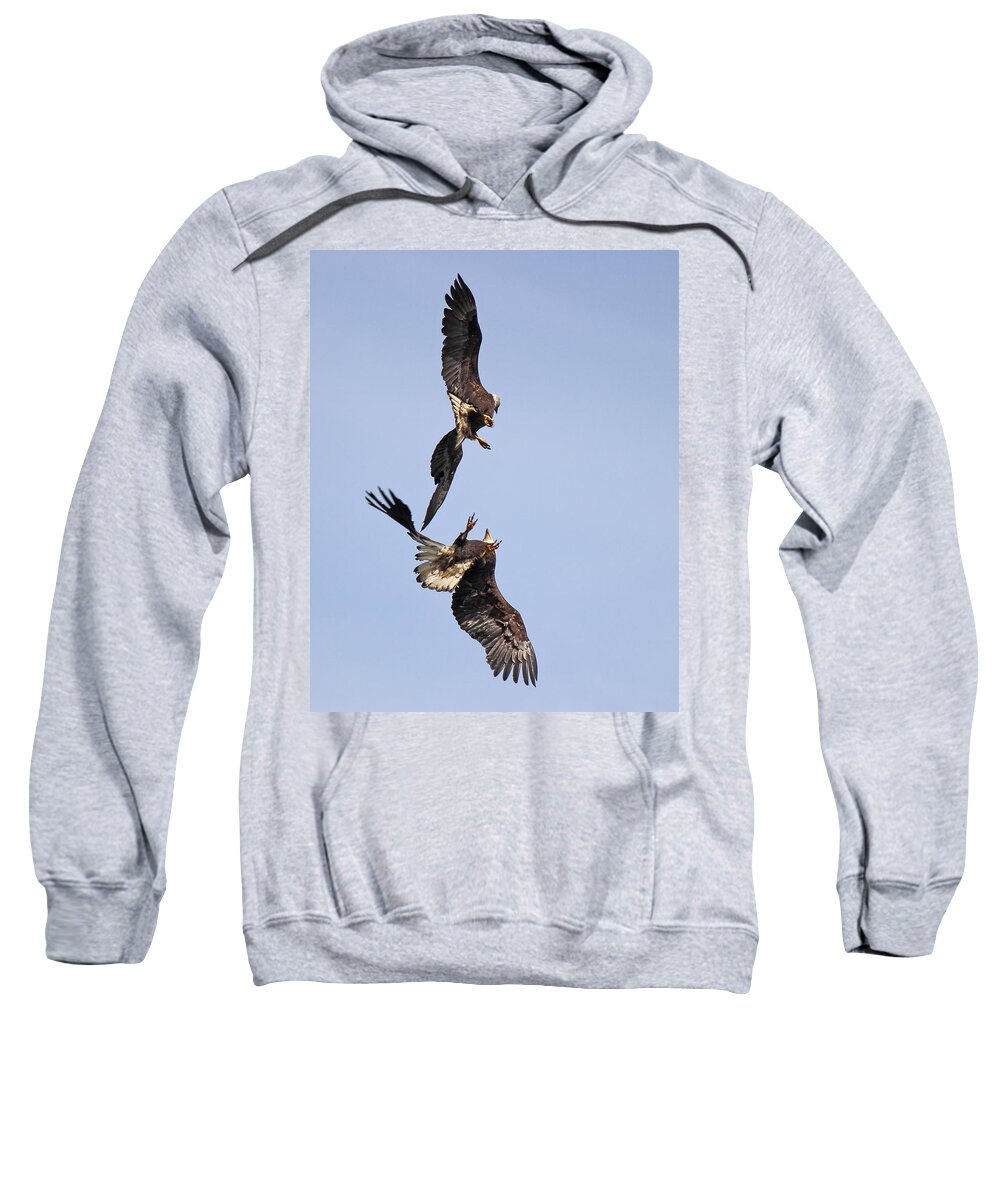 Bald Eagles Sweatshirt featuring the photograph Eagle Ballet by Randy Hall