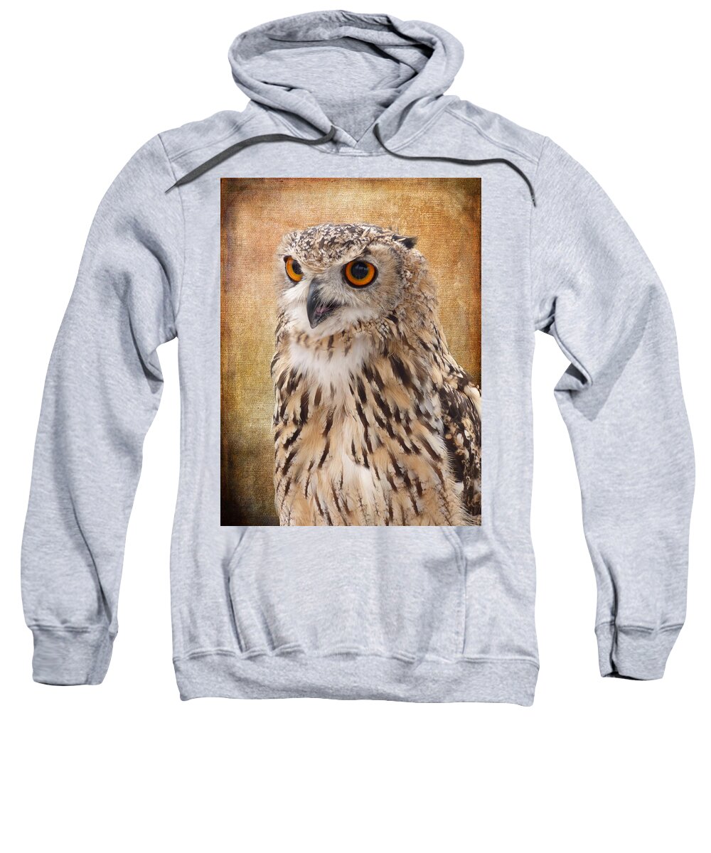 Owl Sweatshirt featuring the photograph Eagle Owl by Lynn Bolt